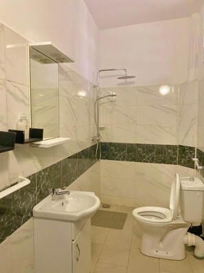 Une salle de bain équipée d’une douche, de toilettes, d’un lavabo et d’un miroir.