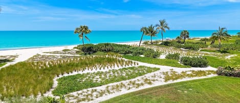 A coastal landscape with a beach, palm trees, and a clear sky.