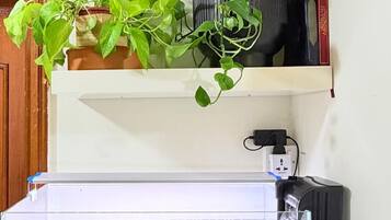 Een aquarium met waterplanten en vissen, een stopcontact en een plank met boeken en een plant.