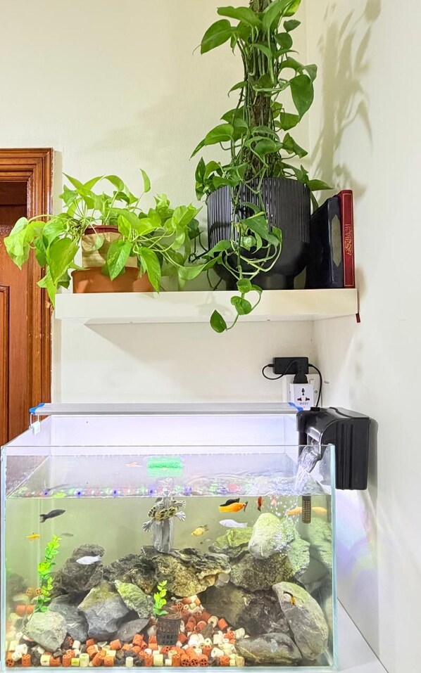 A fish tank with aquatic plants and fish, a power outlet, and a shelf with books and a plant.
