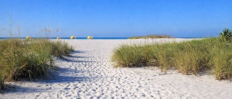 On the beach