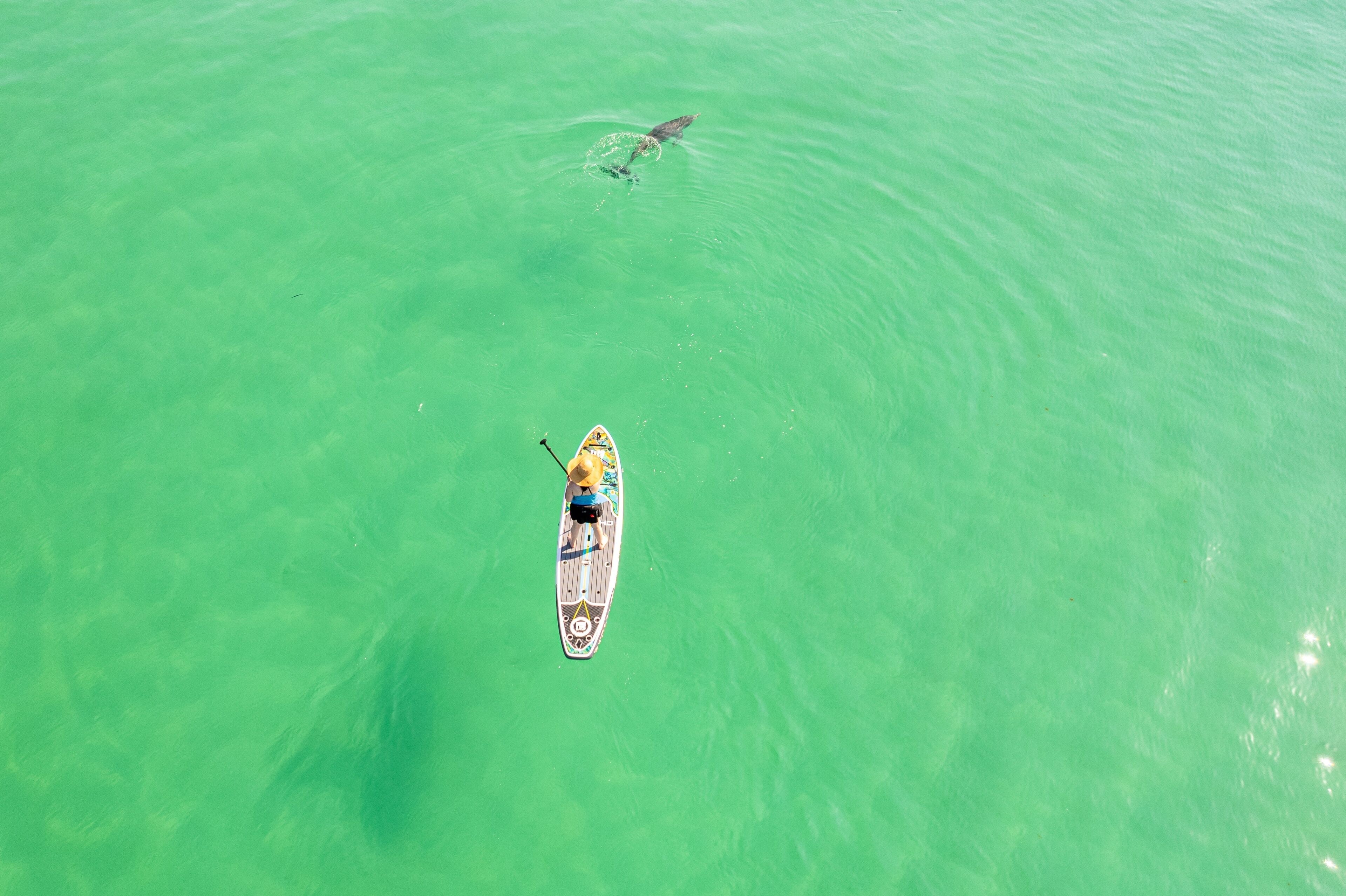 Iemand staat op een paddleboard in helder, groen water.