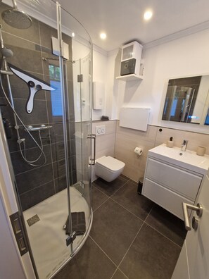 Een moderne badkamer met een douche met glazen wand, een toilet en een wastafel met spiegel.