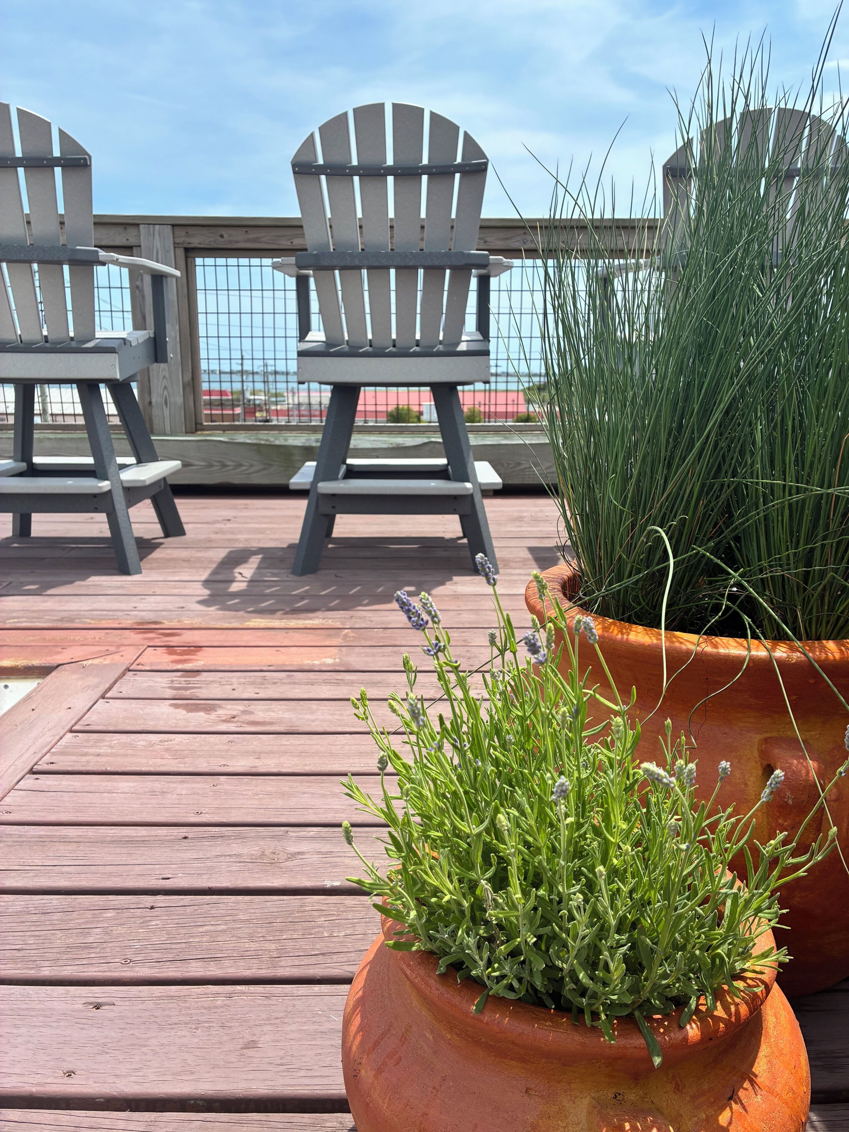 A wooden deck with two Adirondack chairs and a potted plant.