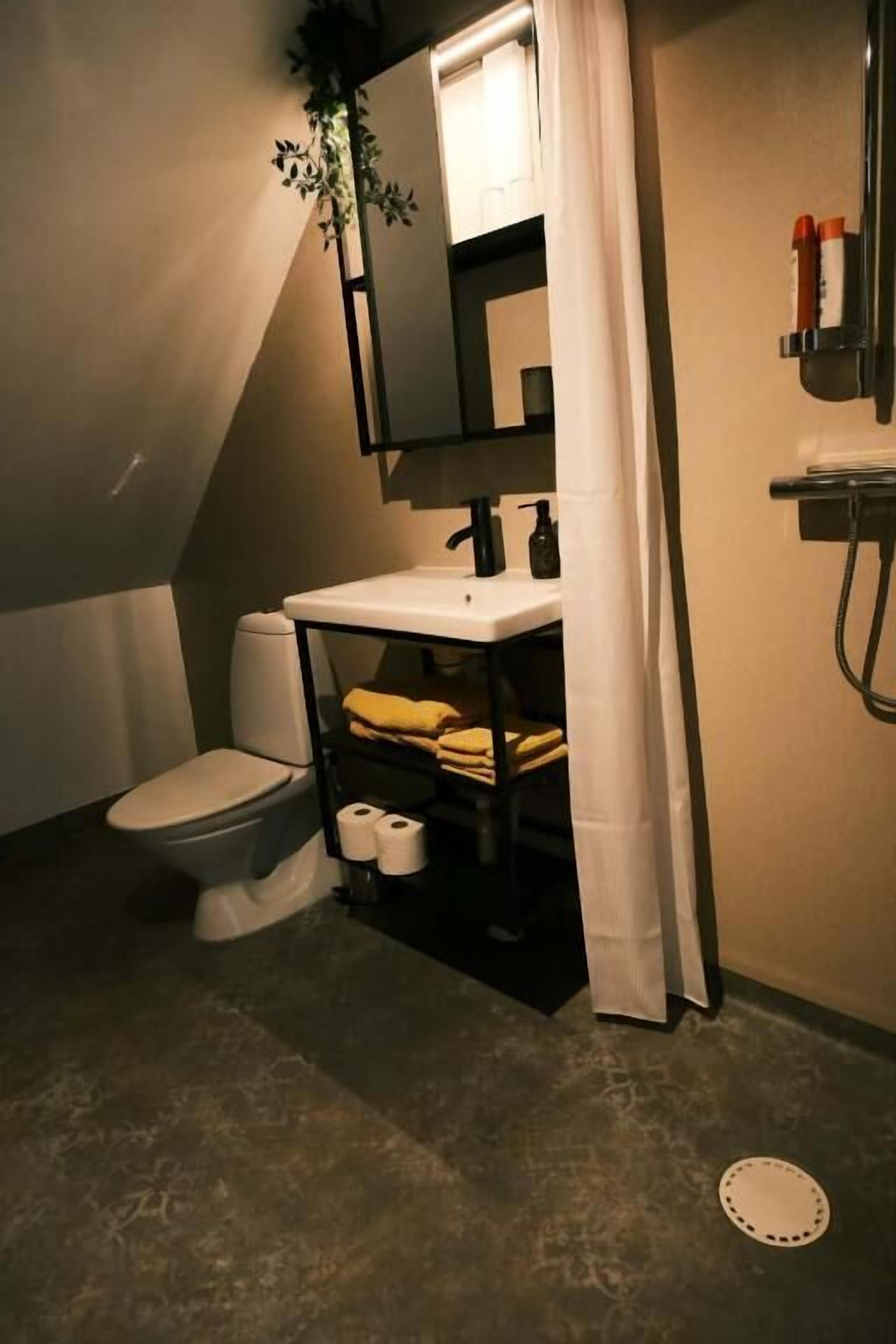 Kylpyhuone, jossa on wc, pesuallas ja suihku.