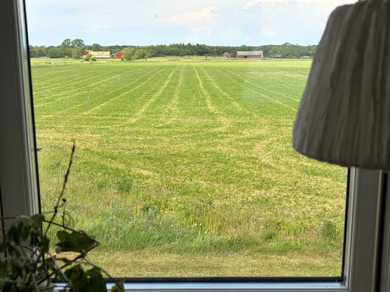 Vista a través de una ventana que muestra un campo verde, con una lámpara a la derecha y una planta en primer plano.