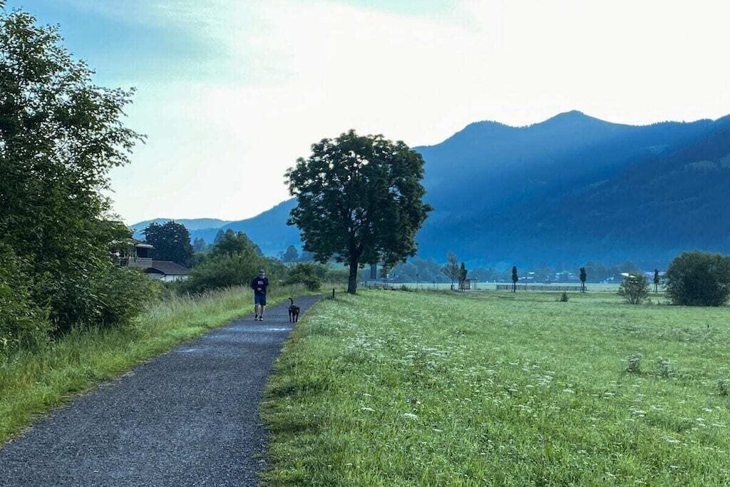 A paved path with a person and a dog walking, surrounded by grass and trees, with mountains in the background.