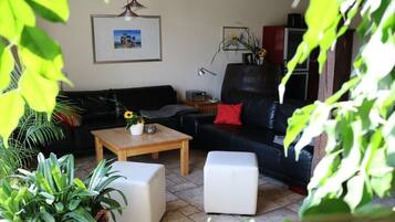 Smart-TV, Stereoanlage
