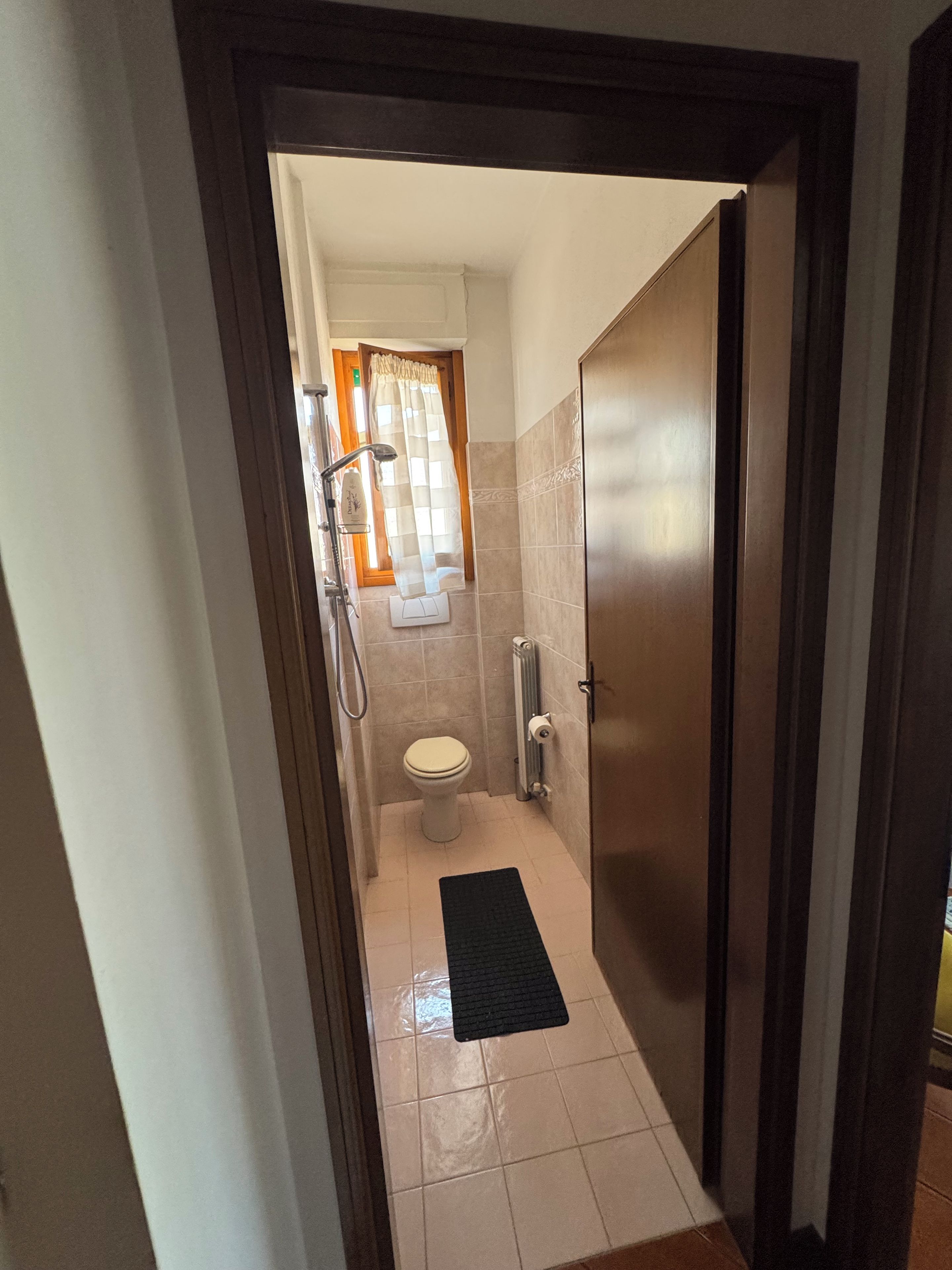 A bathroom with a toilet, a shower, and a radiator.