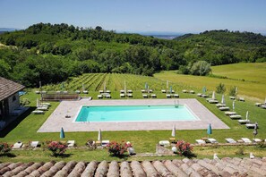 Piscina con tumbonas y vista a un viñedo.