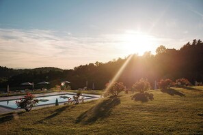 Un área de piscina con sillones de descanso y sombrillas, rodeada de césped y árboles.