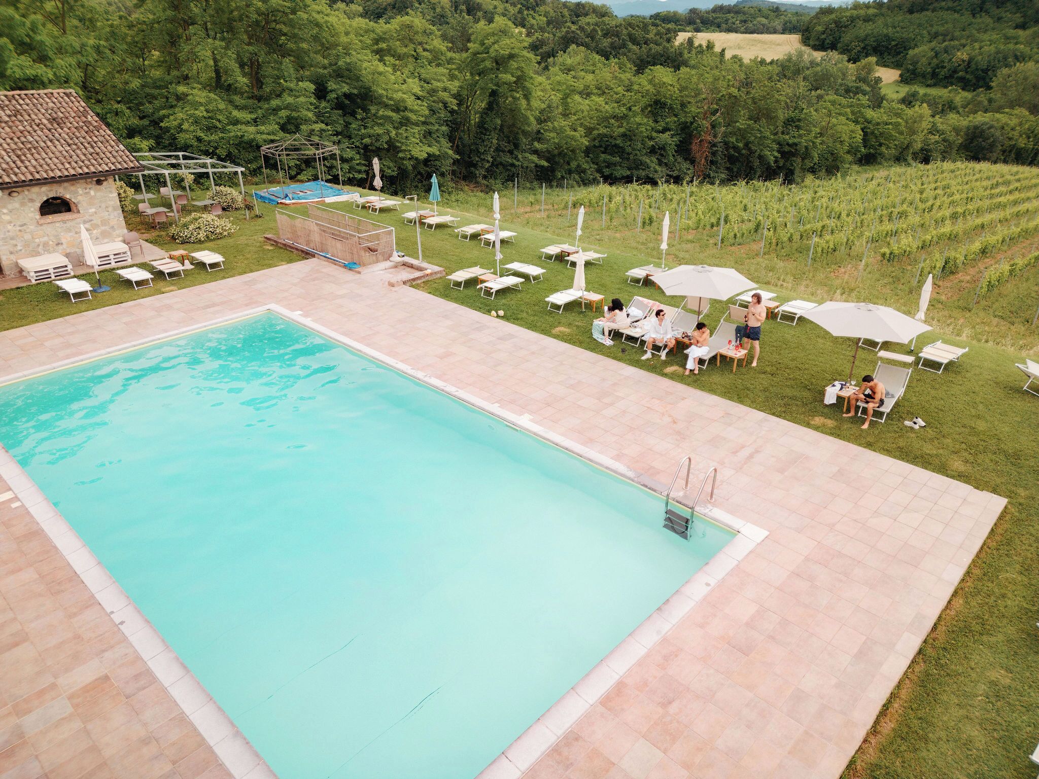 Ein Schwimmbad mit umlaufender Terrasse, ein kleines Gebäude und ein Weinberg im Hintergrund.
