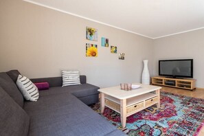 Un salon avec un canapé gris, une petite table basse blanche, un téléviseur posé sur un meuble en bois et un tapis coloré.