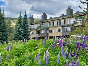 A multi-story residential building with balconies, surrounded by lush greenery and flowering plants. - Lake View | Top Floor | Shared Pool (Keystone)