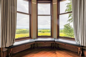 Un ventanal de esquina con vistas a un paisaje verde.