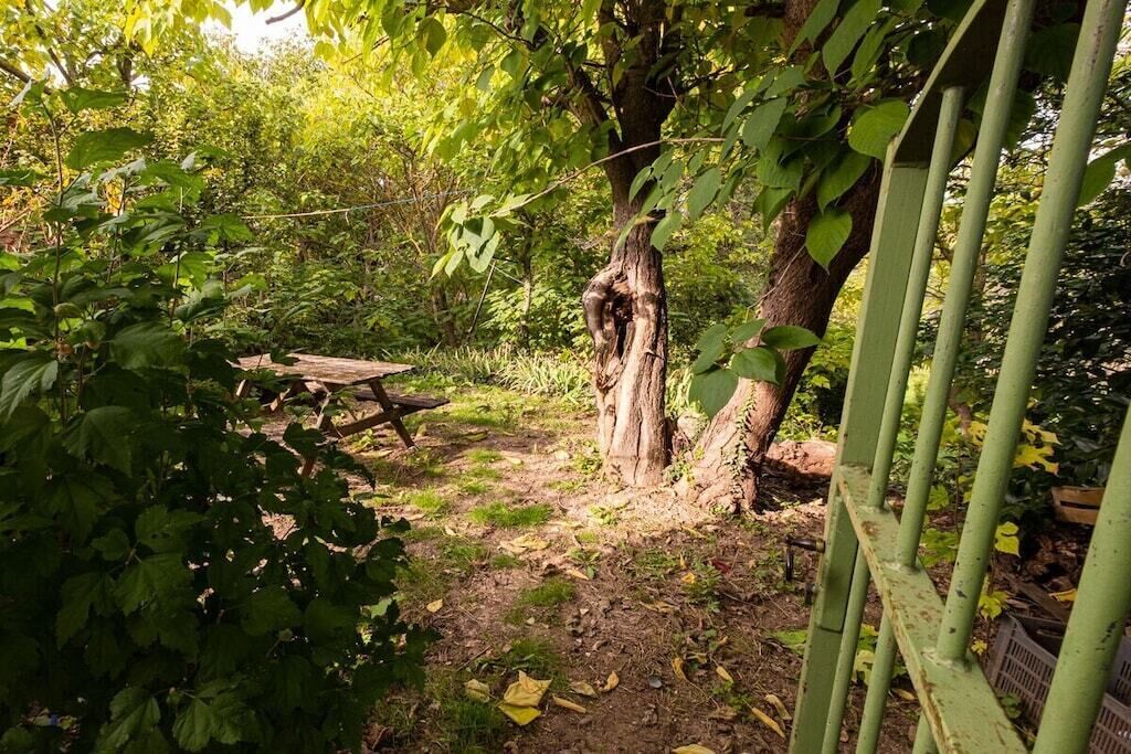 Un jardín con un banco de madera, un árbol de tronco singular y una valla metálica.