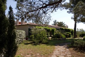 A stone pathway leading to a building with a tiled roof, surrounded by well-maintained hedges and trees. - Holiday apartment with 1 bedroom (Cavaillon)