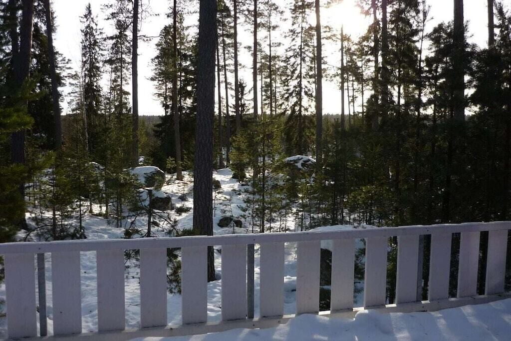 Ein verschneiter Wald mit einem weißen Zaun im Vordergrund.