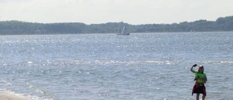 A beach with a person standing in shallow water, a sailboat in the distance, and a forested shoreline.