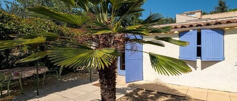 A building with blue shutters, a palm tree, and a patio area with chairs and a table.