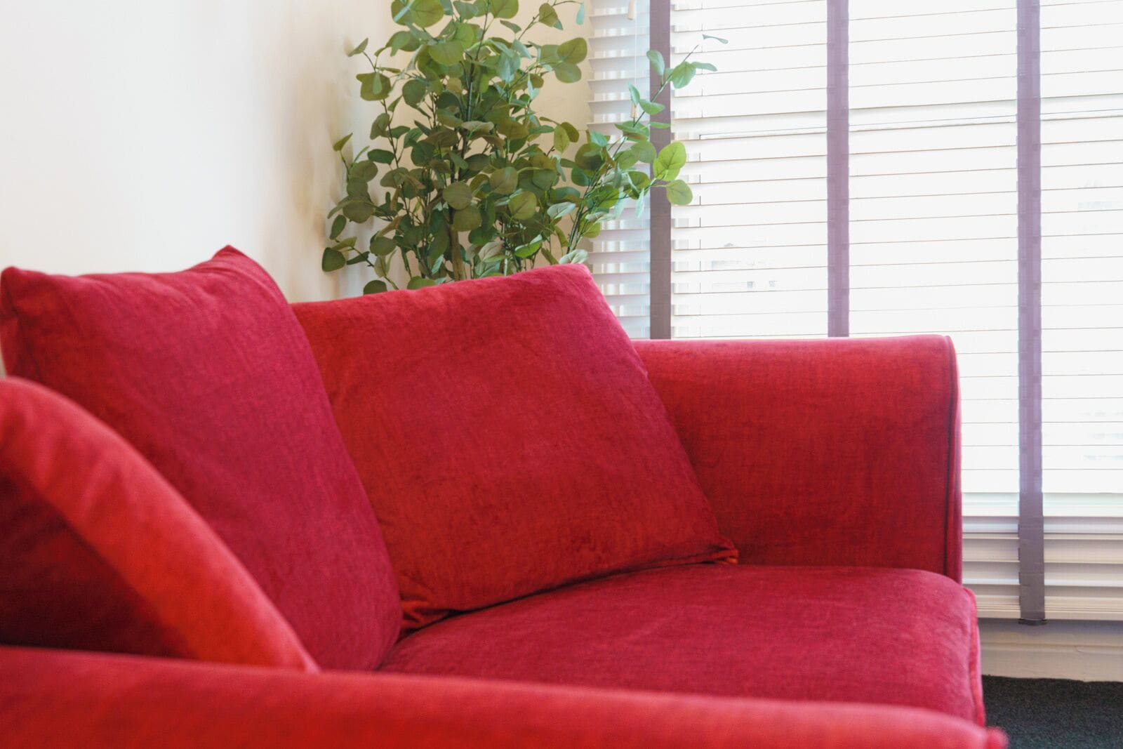 A red sofa with a plant in the background.