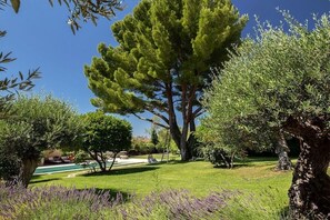 Ein gepflegter Garten mit einem großen Baum, einem Schwimmbecken und einer Rasenfläche.