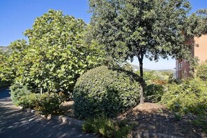 Ein angelegter Garten mit verschiedenen Sträuchern und einem Baum.
