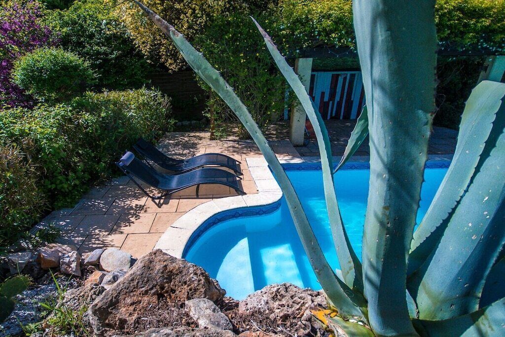 Une piscine à bordures courbes, entourée de rochers et de plantes.