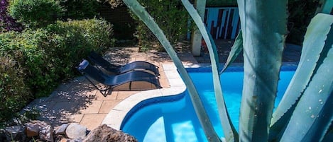 En pool med en böjd kant, omgiven av stenar och växter.