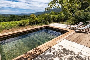 Ein klares Schwimmbecken mit Holzterrasse und Liegestühlen, umgeben von Grünpflanzen und einer Berglandschaft.