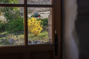Blick aus dem Fenster auf einen grünen Traktor in einem Feld mit gelb blühenden Sträuchern.