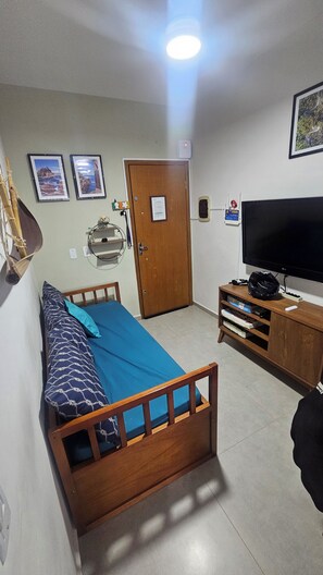 A room with a bed, a television, a door, and two framed pictures on the wall.
