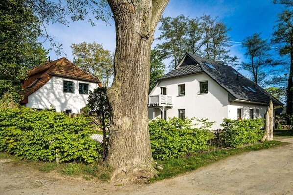A two-story house with a white exterior, a sloped roof, and a large tree in the foreground. - Holiday apartment with 1 bedroom (Ostseebad Prerow)
