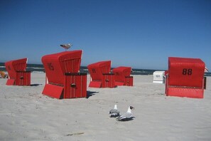 Red beach chairs with numbers, a white mailbox, and seagulls on a sandy beach. - Holiday apartment with 1 bedroom (Ostseebad Prerow)