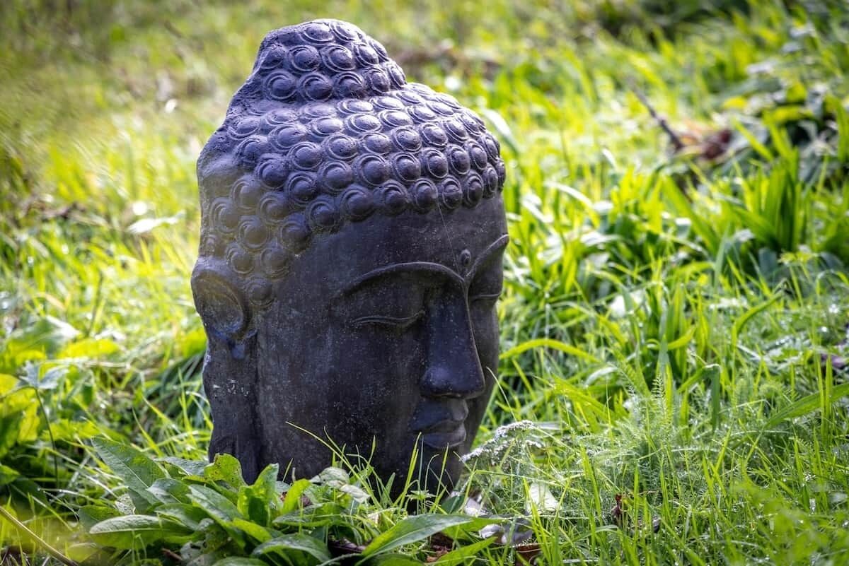 A stone Buddha head surrounded by lush greenery.
