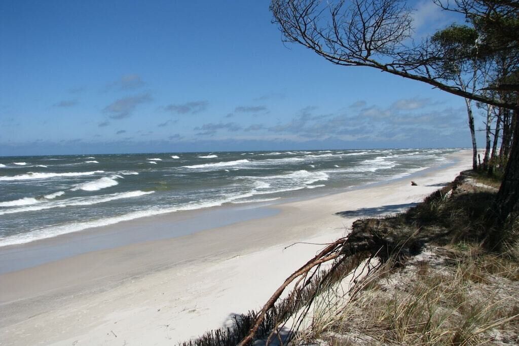 A beach with waves, a sandy shore, and sparse vegetation.