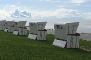 Fileira de cadeiras de praia numeradas alinhadas em uma área gramada, vista para o mar e um navio ao longe.