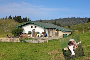 Una casa rural con techo verde, patio cercado y una vaca al frente.