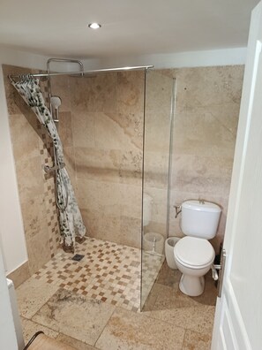 Une salle de bain avec une douche, des toilettes et un carrelage à motifs à carreaux.