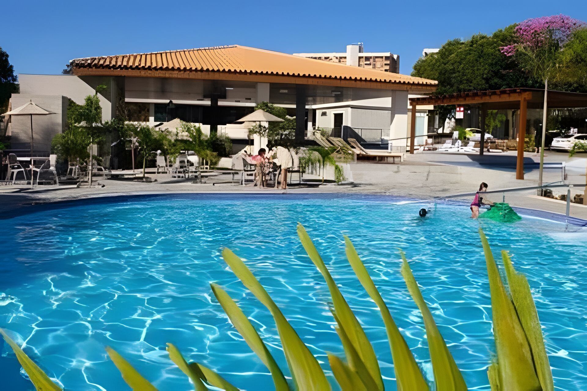 A swimming pool with clear blue water, surrounded by lounge chairs and umbrellas.