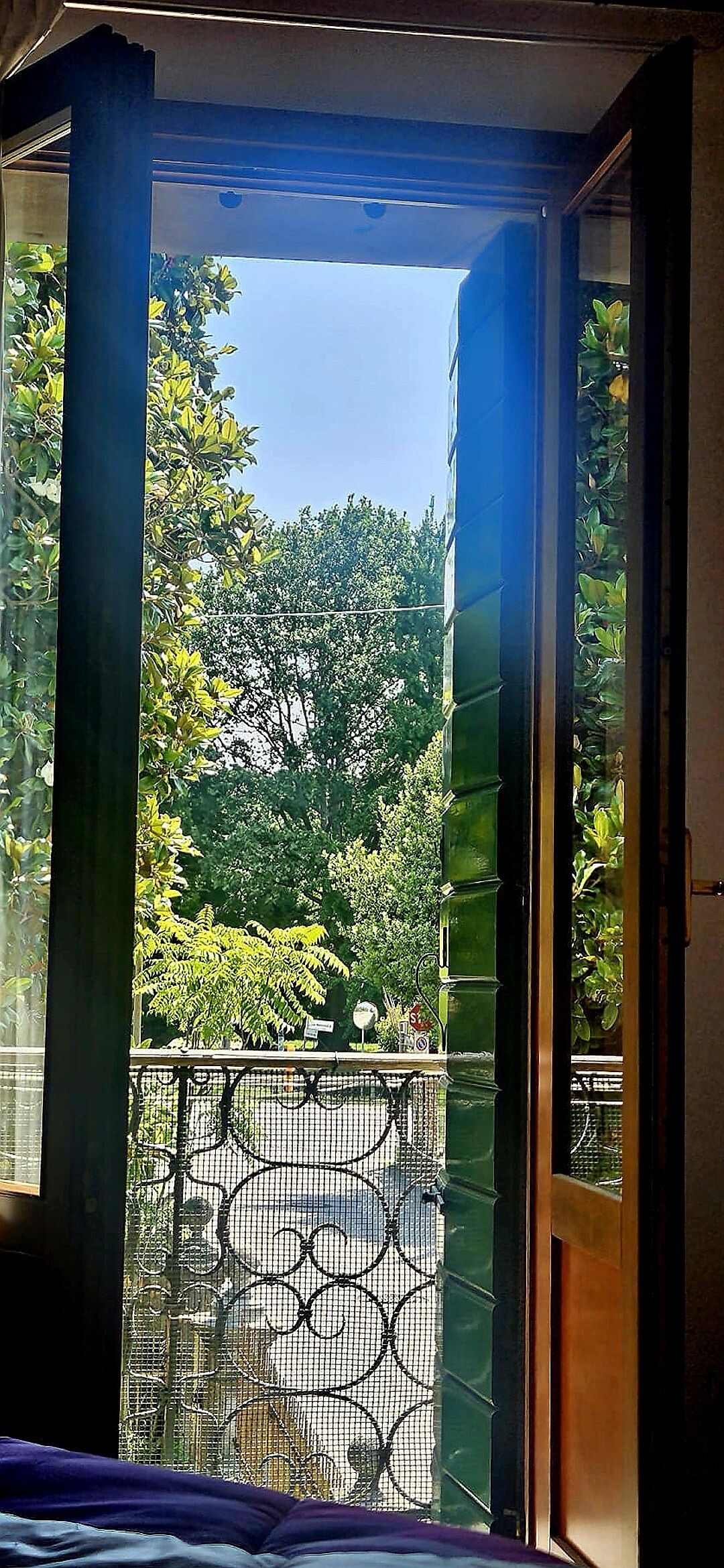 Une vue à travers une porte vitrée, avec une grille métallique donnant sur un balcon.