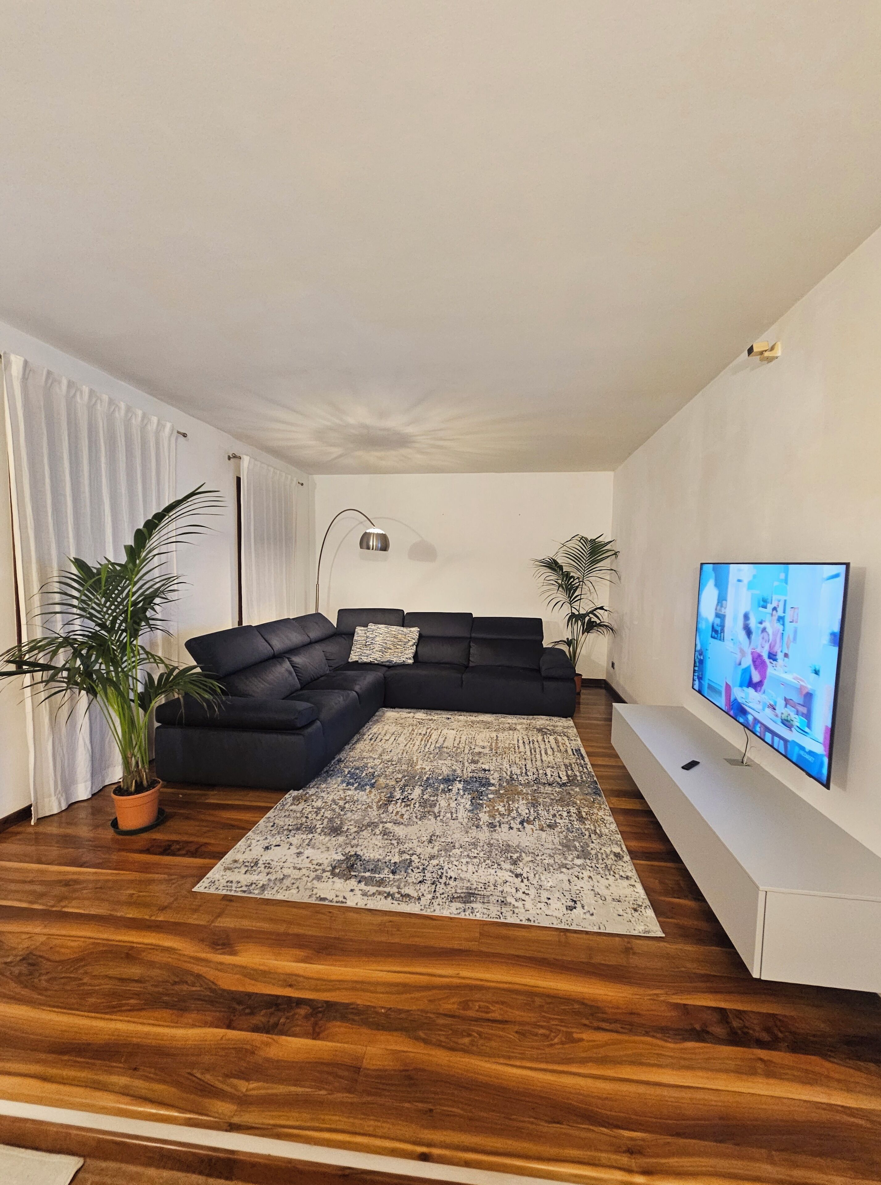 Un salon moderne avec un canapé d’angle, un téléviseur à écran plat et deux plantes en pot.