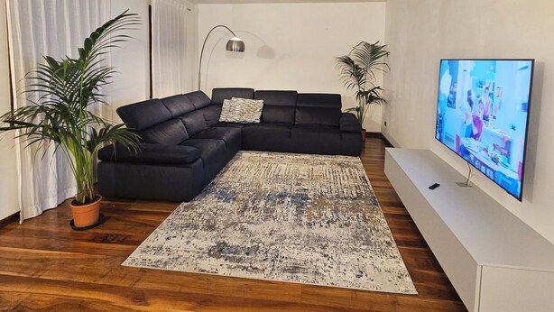 Un saló modern amb un sofà seccional, un televisor de pantalla plana i dues plantes en testos.