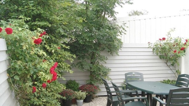A patio with a table and chairs, surrounded by potted plants and climbing roses. - Holiday home in Domburg with swimming pool (domburg)