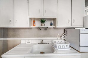 A kitchen with white cabinets, a stainless steel sink, and a small shelf with a plant and cleaning supplies. - Near Shopping & Dining- Magic in Midtown- Unit B (Memphis)