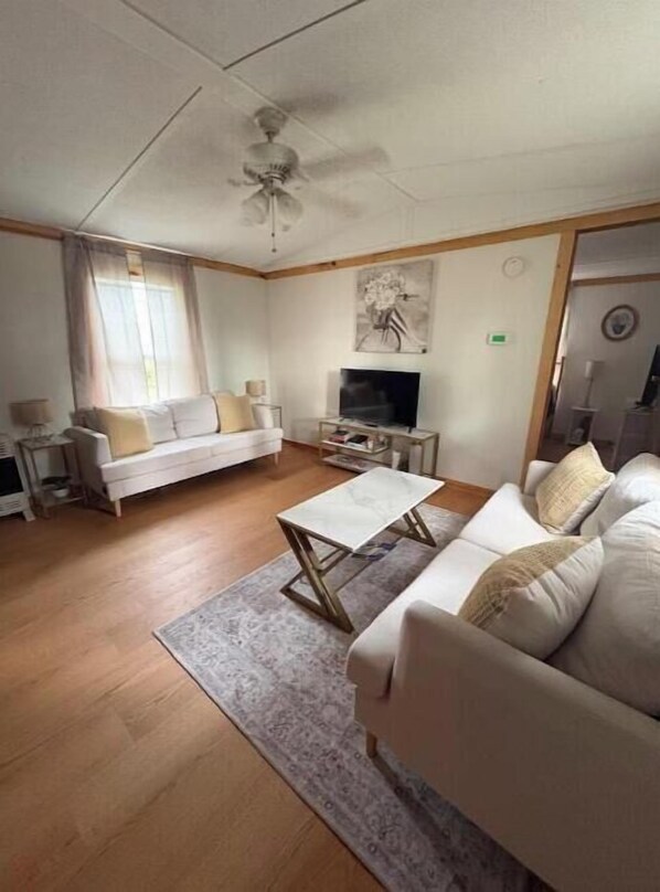 Living area - Cozy Cottage, close to Blue Ridge Parkway (Galax)