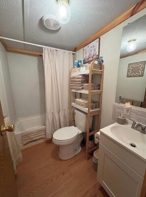 Bathroom - Cozy Cottage, close to Blue Ridge Parkway (Galax)