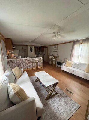 Living area - Cozy Cottage, close to Blue Ridge Parkway (Galax)
