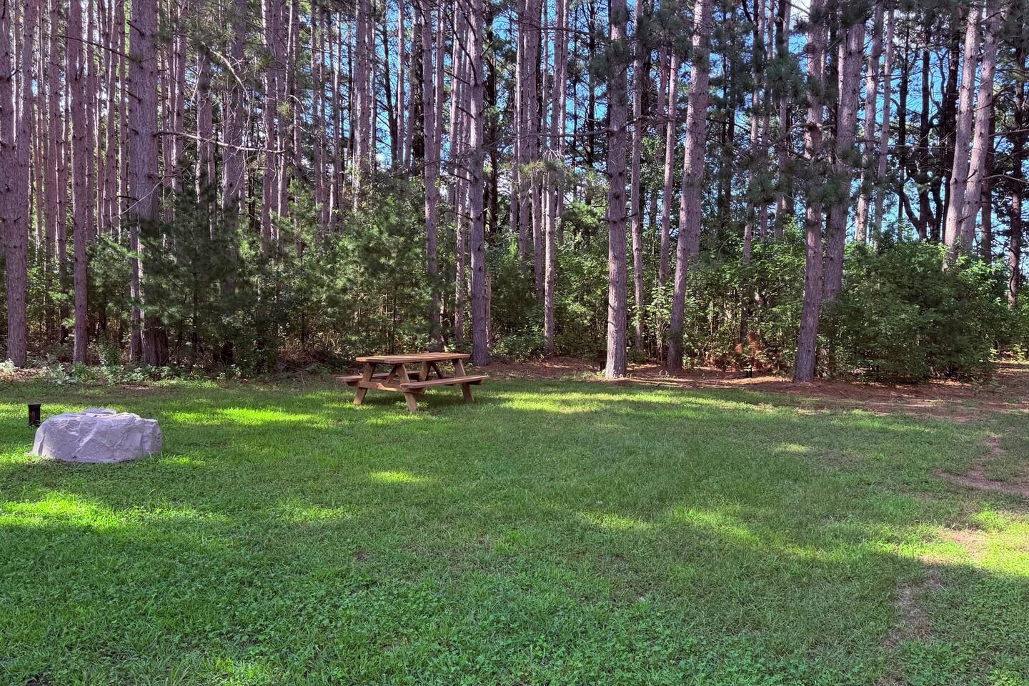 A picnic table in a grassy area surrounded by tall trees.