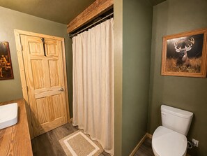 Un baño con puerta de madera, cortina de ducha, inodoro y un cuadro en la pared.